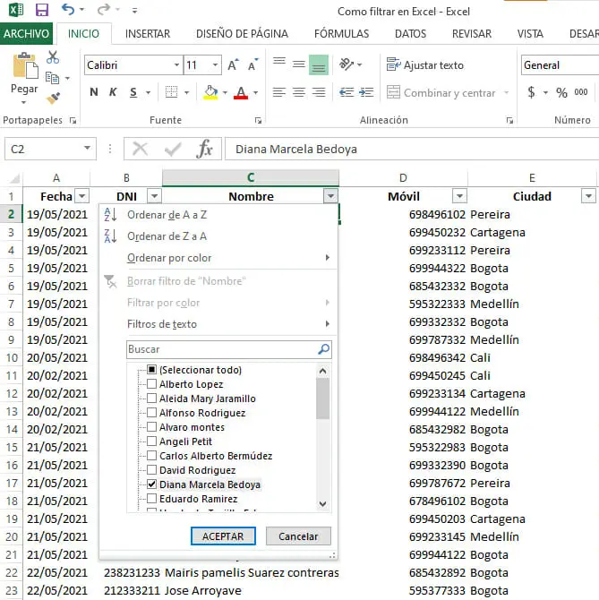 Filtros datos en Excel