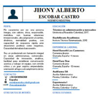 Plantilla Curriculum Vitae