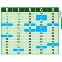 Cartones Bingo locutor