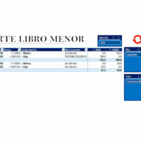 Reporte de libro menor en Excel