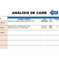 Análisis de CAME Matriz DOFA