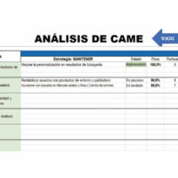 Matriz DOFA Análisis de CAME