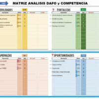 Plantilla DAFO en Excel