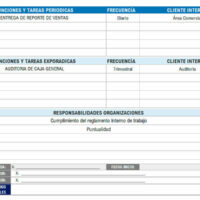 formato descripcion de puestos de trabajo