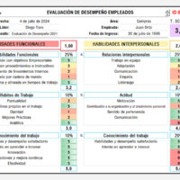 formato evaluación de desempeño laboral excel