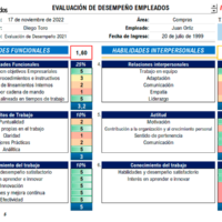 Formato Evaluación de Desempeño