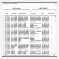 plantilla de evaluacion de desempeño