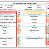 formato de evaluacion de desempeño