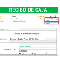 Recibo de caja formato