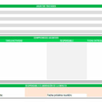 Formato de Minuta de trabajo