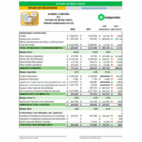 Formato estado de resultados en Excel