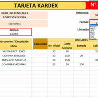 Formato tarjeta Kardex