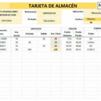 Tarjeta de almacén formato