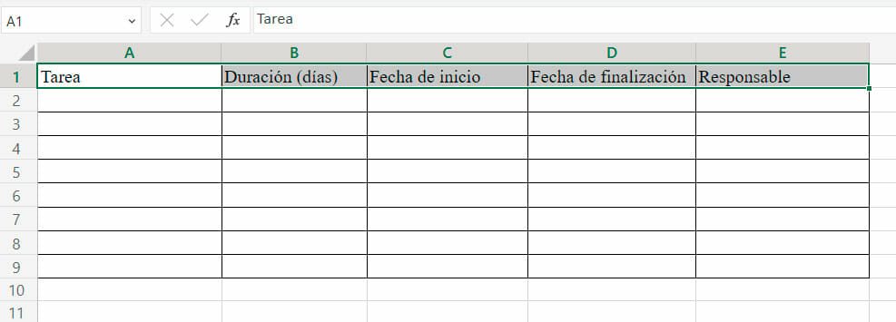 Realizar un plan de trabajo en Excel | paso 1