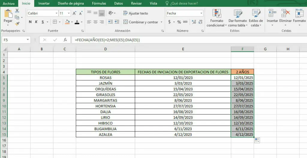 Sumar años a una fecha en Excel - Paso 5