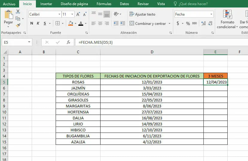 Sumar meses a una fecha en Excel - Paso 4