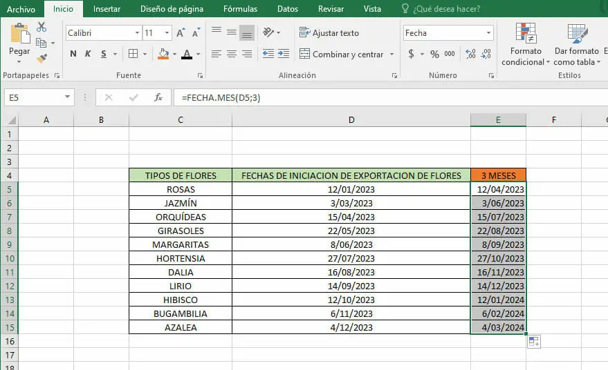 Sumar meses a una fecha en Excel - Paso 5