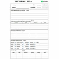 Formato de historia clínica en Excel y pdf