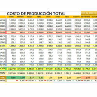 Formato de Costos de Producción en Excel