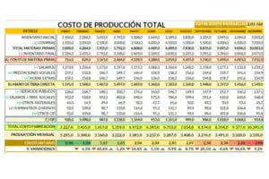 Formato de Costos de Producción en Excel