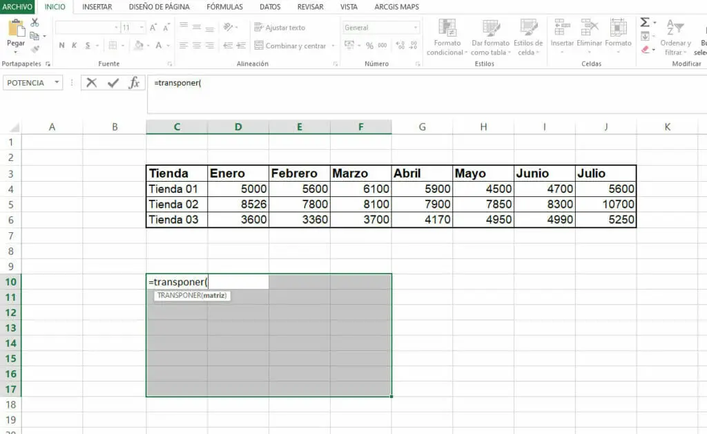 Ejemplo Función TRANSPONER en Excel paso 3