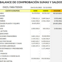 balance de comprobacion del libro diario y libro mayor