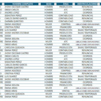 Base de datos análisis de causas - Formato de índice de rotación de personal