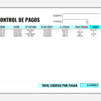 Modulo de cuentas por pagar a proveedores - ERP en Excel