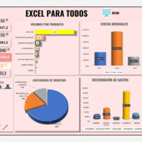 Plantilla ERP en Excel - Dashboard