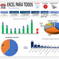 Plantilla Control de Ingresos y Gastos de una Empresa