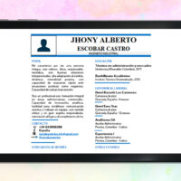 Curriculum Vitae