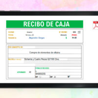 Formato Recibo de Caja