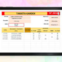 Formato Tarjeta Kardex