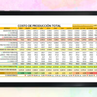 Formato de Costos de Producción en Excel