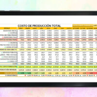 Formato de Costos de Producción en Excel