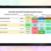 Plantilla Matriz RACI en Excel